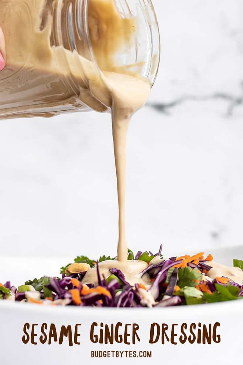 Sesame Ginger Dressing Recipe Budget Bytes