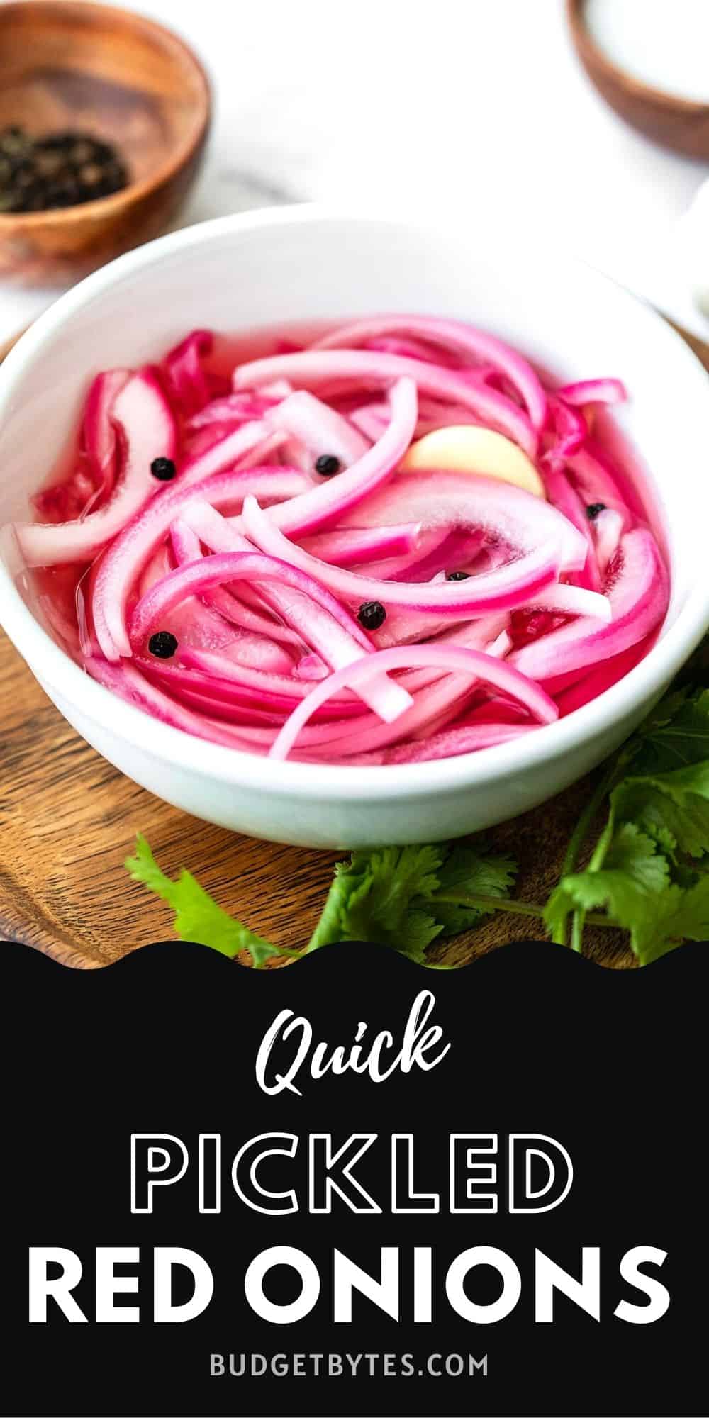 Pickled Red Onions Recipe Budget Bytes