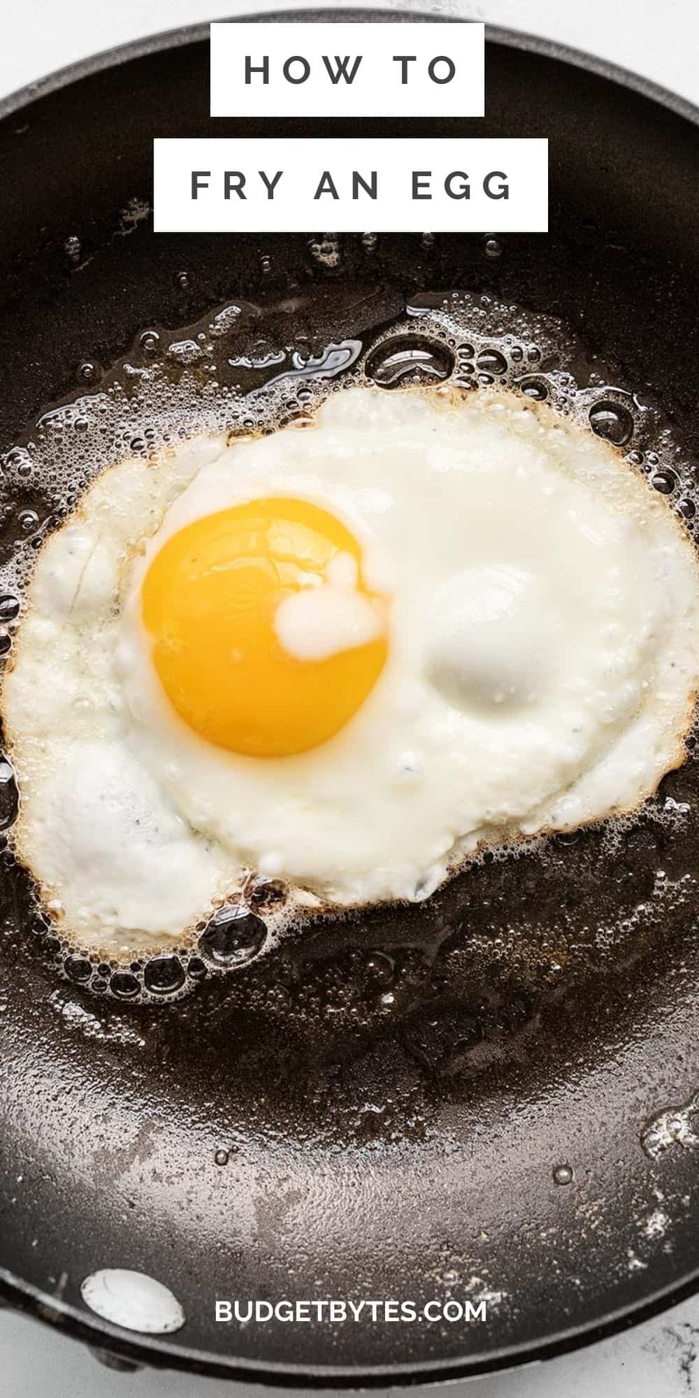 How to Fry an Egg Budget Bytes