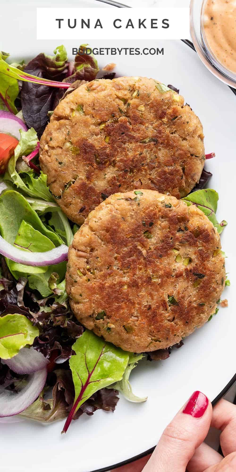 Tuna Patties Budget Bytes