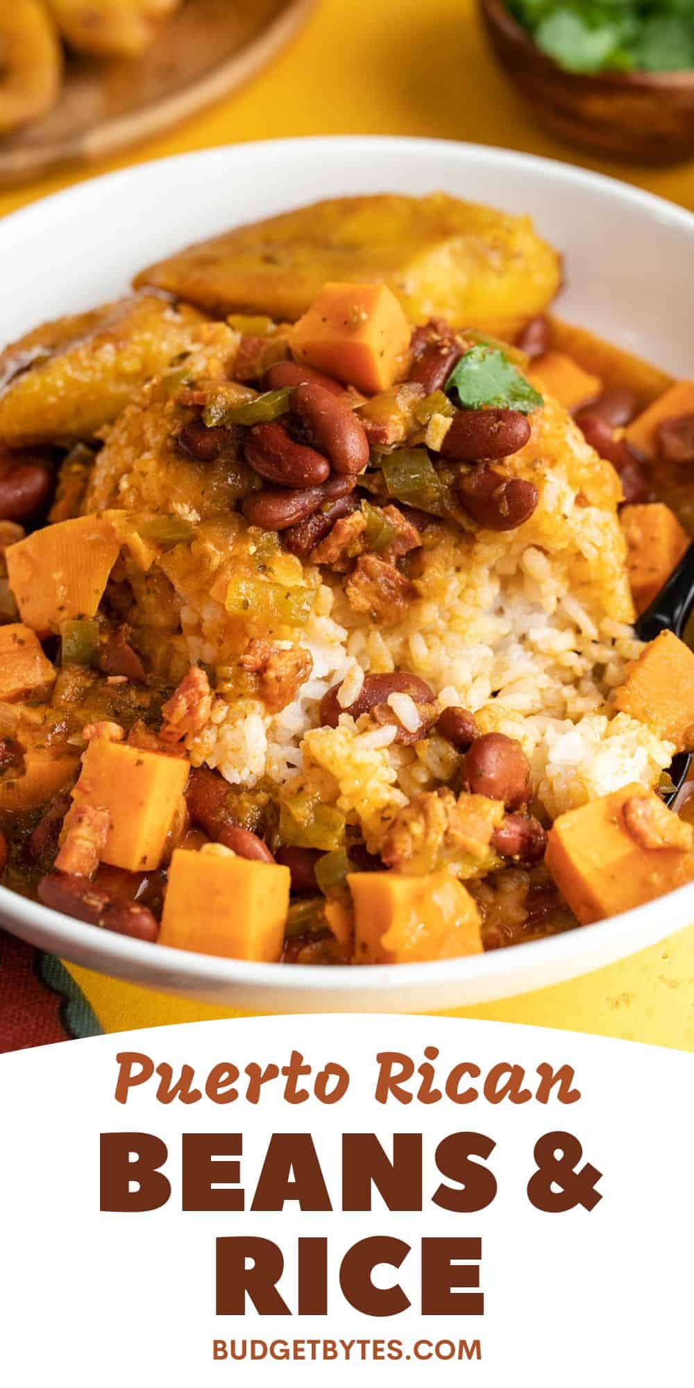 Puerto Rican Rice And Beans Healthy Lifehack Recipes