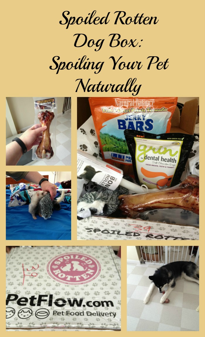 Spoiled Rotten Dog Box Review Spoiling Your Pet Naturally Budget Earth