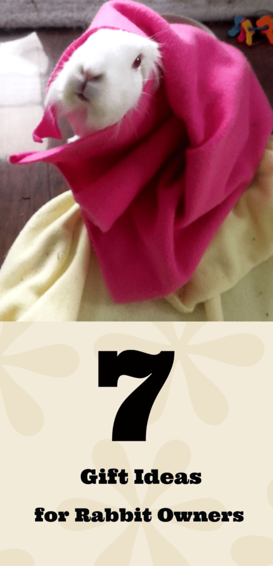 7 Gift Ideas for Rabbit Owners Budget Earth