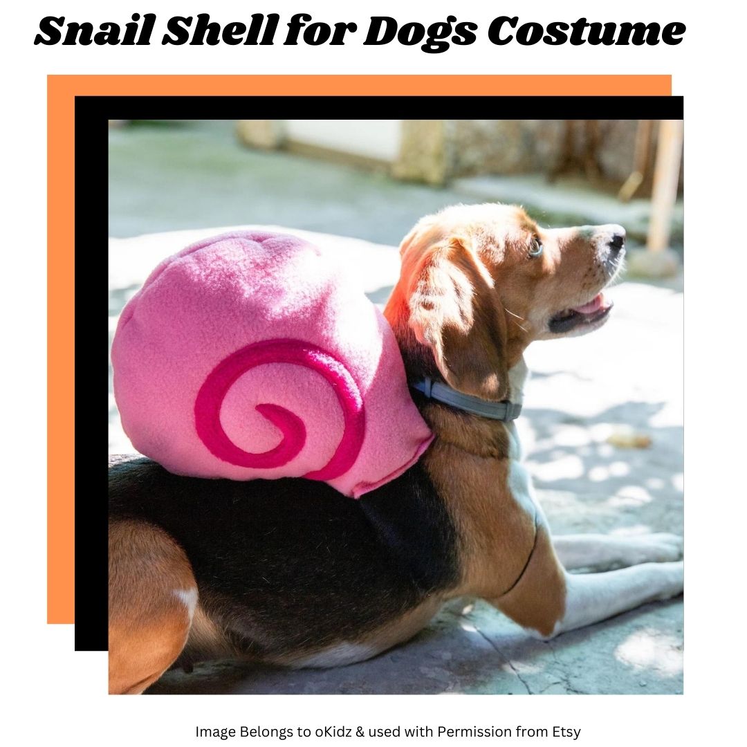 Best Halloween Costumes for Giant Dogs Budget Earth