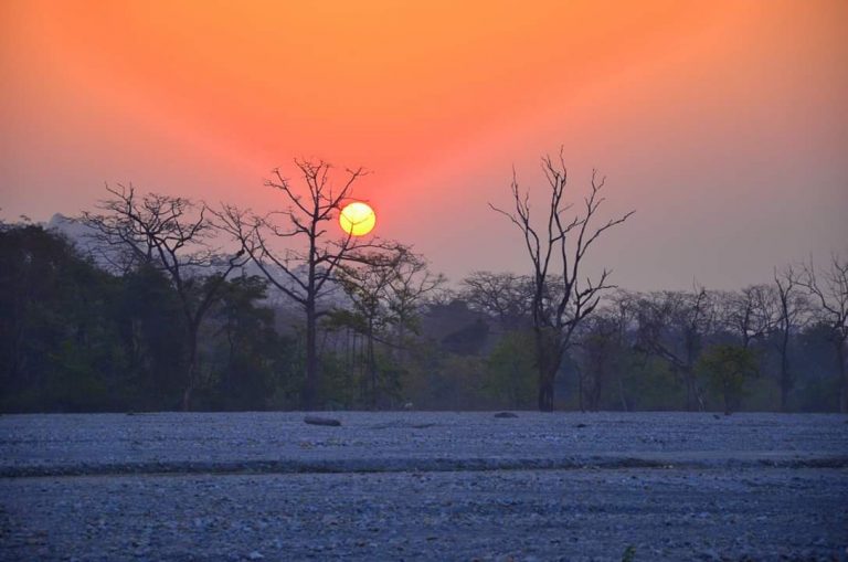 How To Plan Buxa Jayanti Tour On A Budget 4 Days 5000 INR