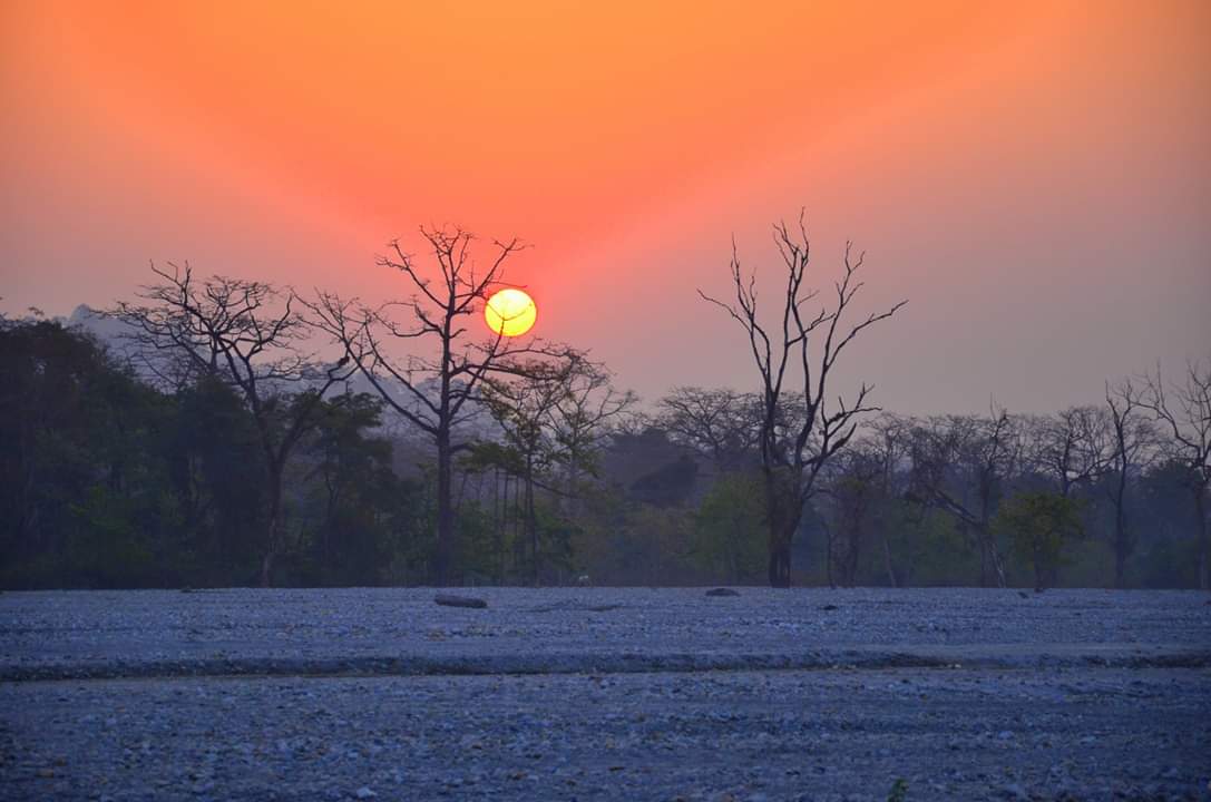 How To Plan Buxa Jayanti Tour On A Budget 4 Days 5000 INR