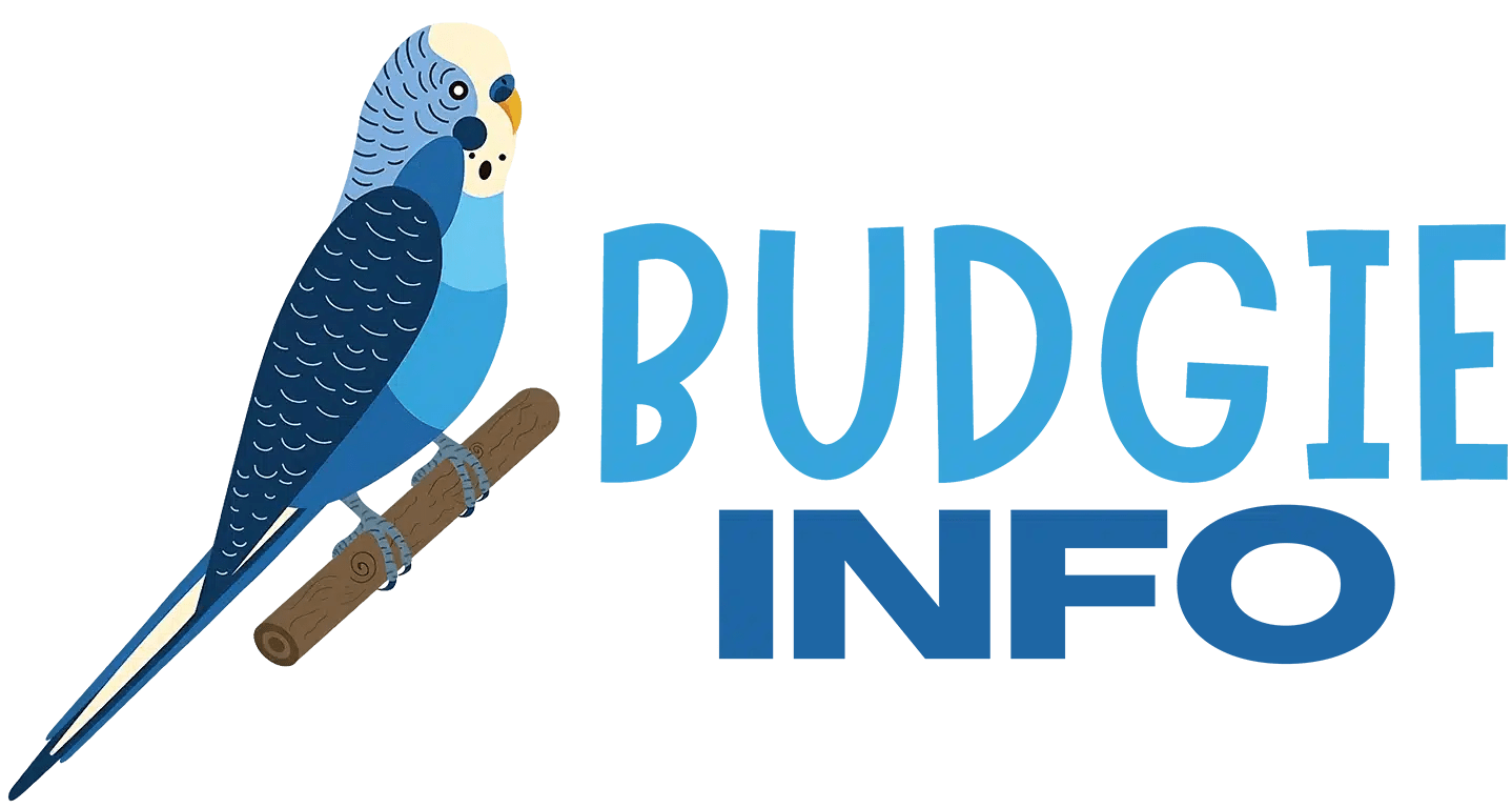 Why Do Budgies Grind Their Beaks? (It's Not What You Think)