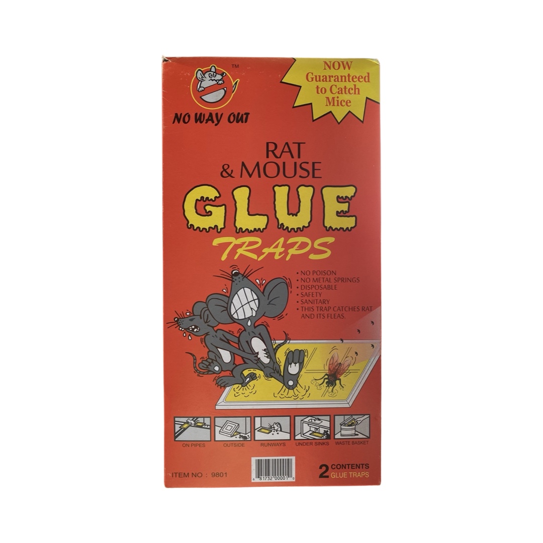 Glue Traps Budgmart Ltd