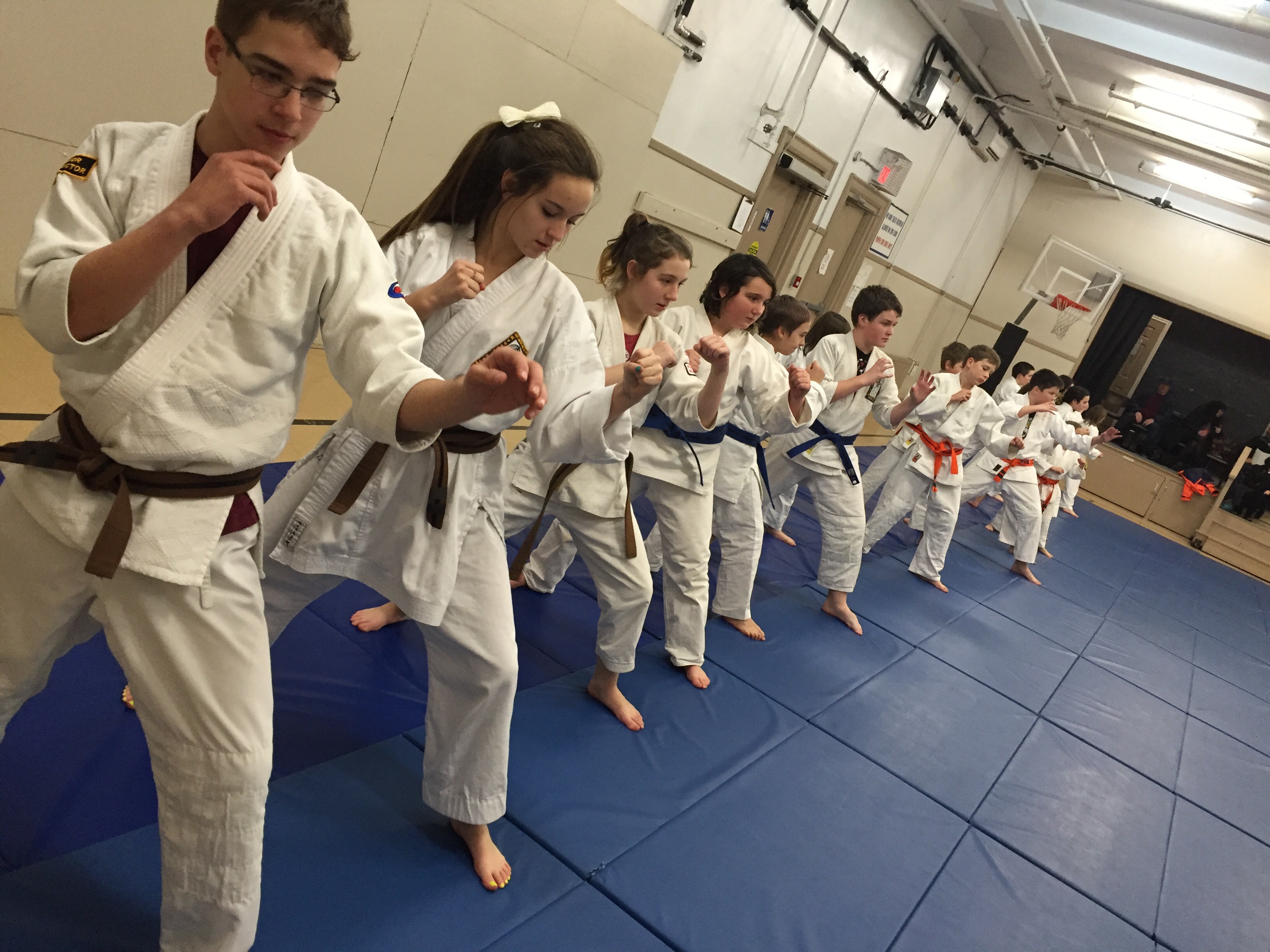 Budocentral Blogs and Writings