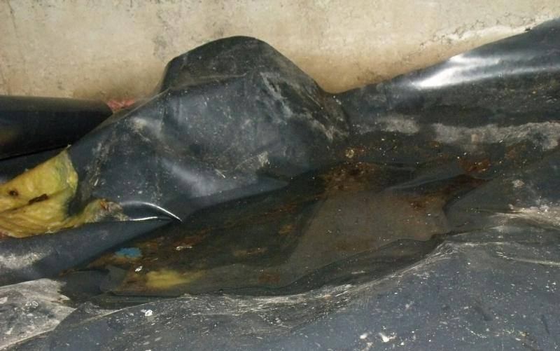 Clogged dryer vent caps Charles Buell Inspections Inc.