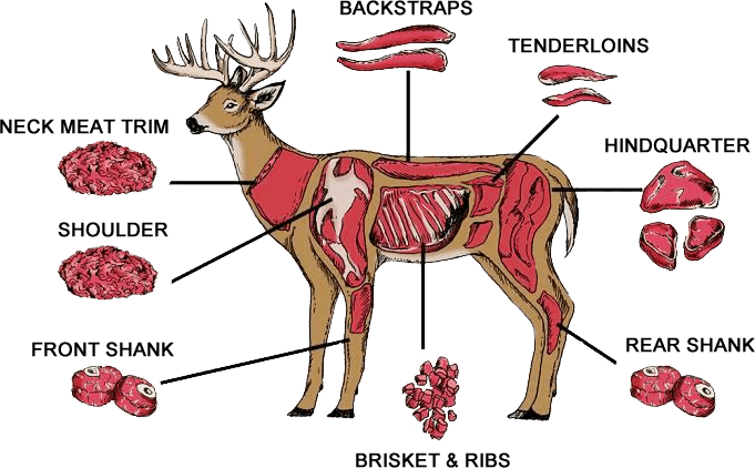 Deer &amp; Exotic Meat Processing | Texas Wild Game Processing