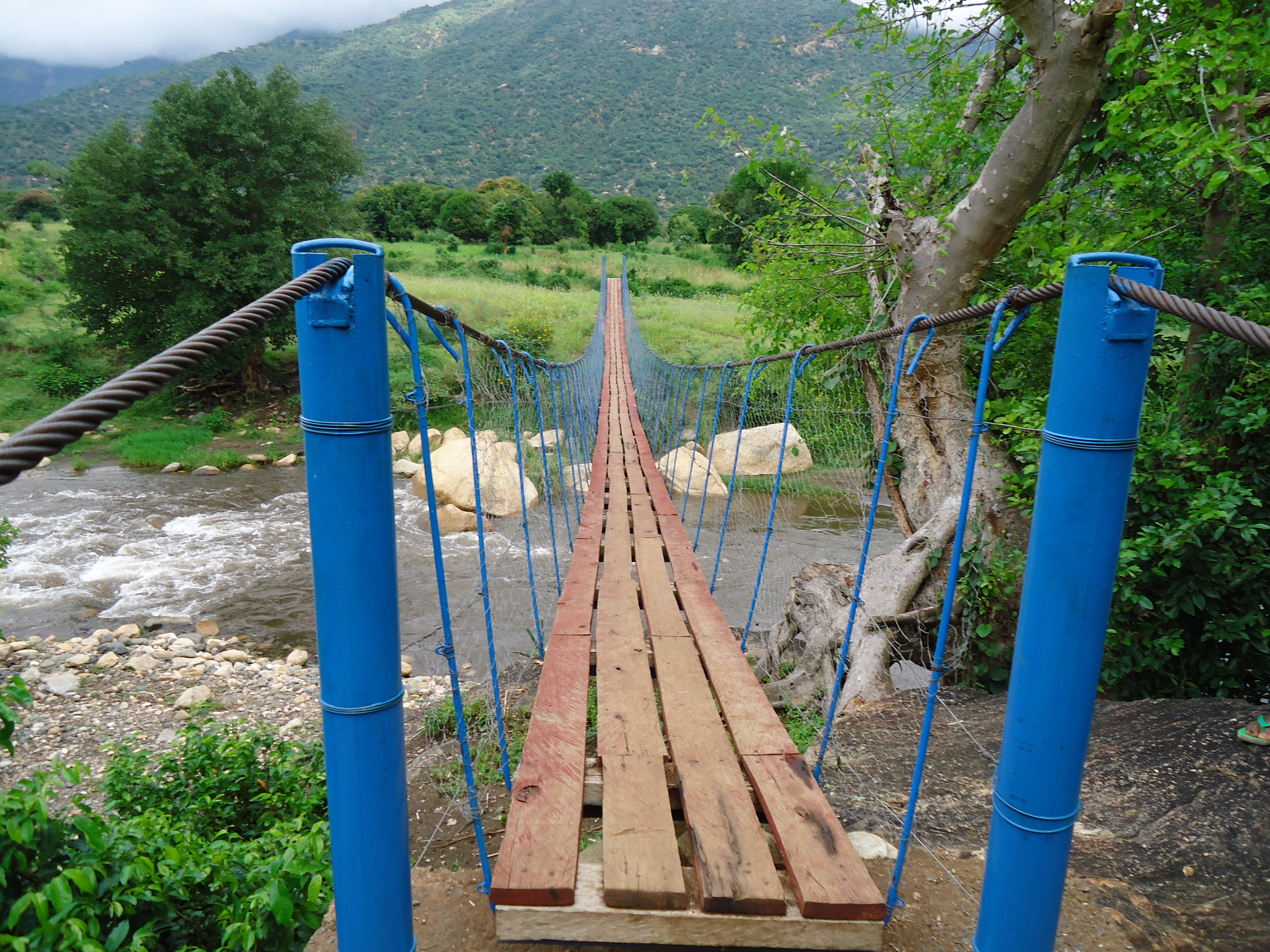 Engineering students design bridge for rural Kenyans, now