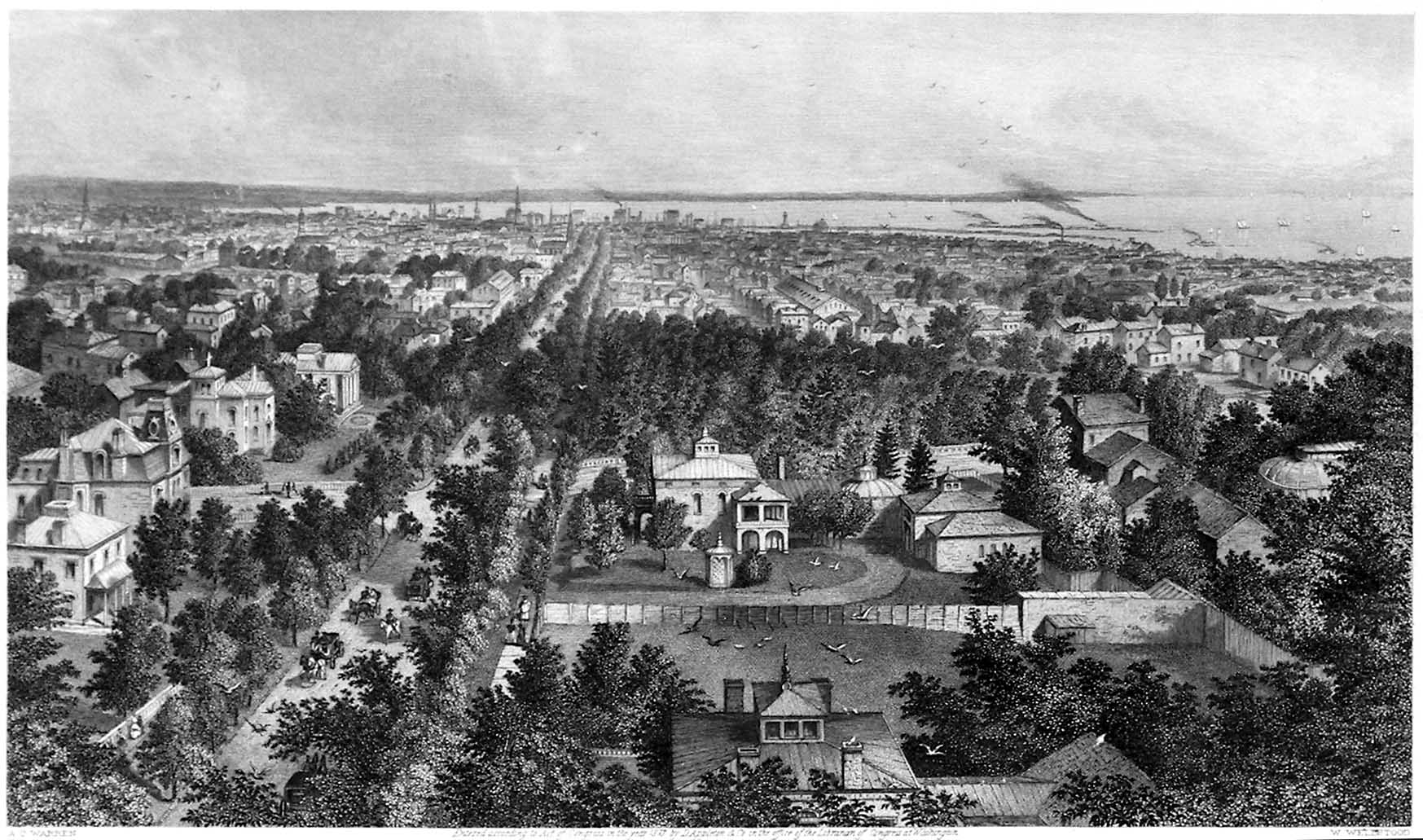 Delaware Avenue, Buffalo