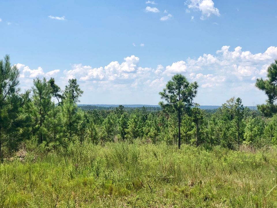 Image Gallery Buffalo Ridge Pace FL