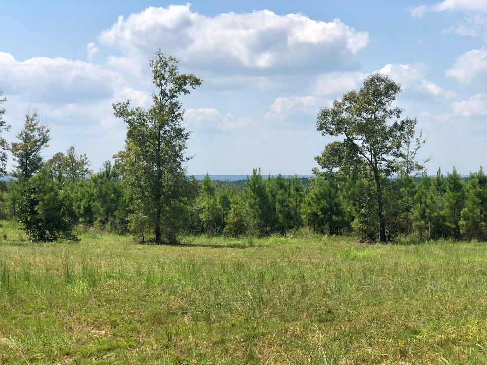 Image Gallery Buffalo Ridge Pace FL