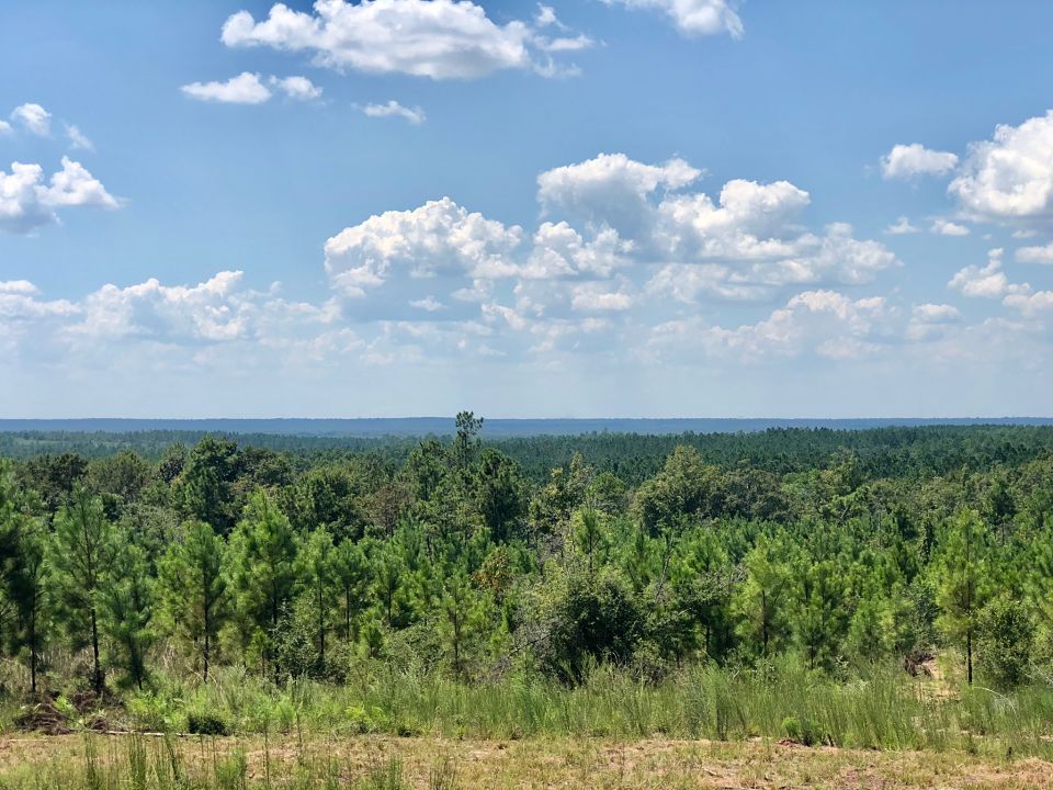 Image Gallery Buffalo Ridge Pace FL