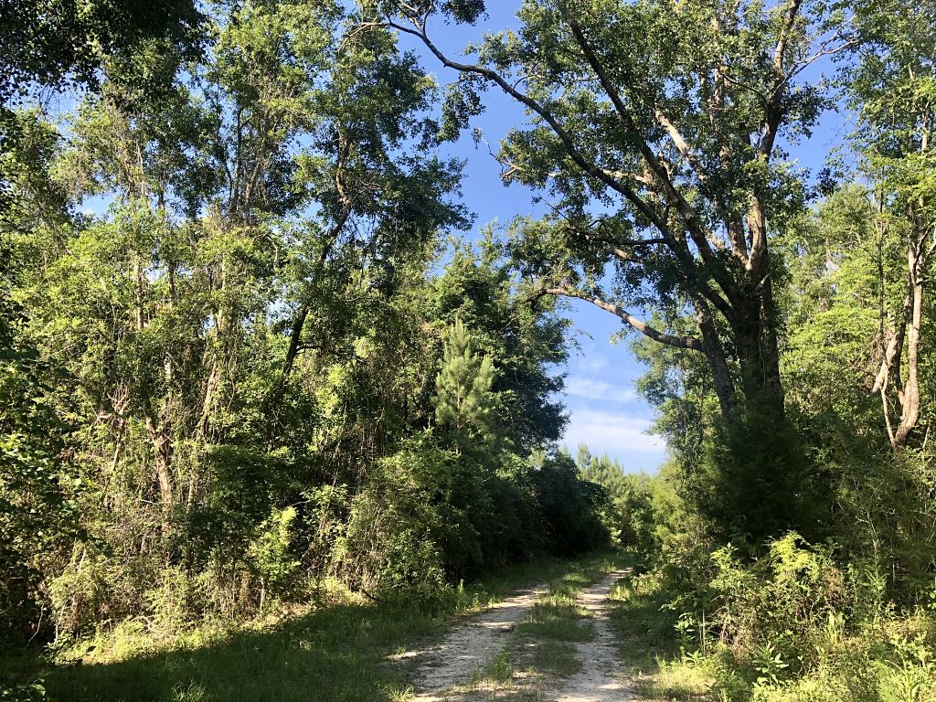 Image Gallery Available Lots Buffalo Ridge Pace FL