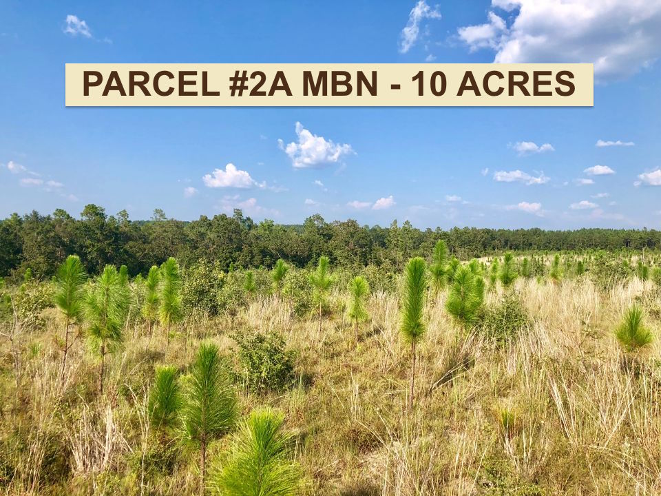 8 & 10Acre Parcels Buffalo Ridge Pace FL