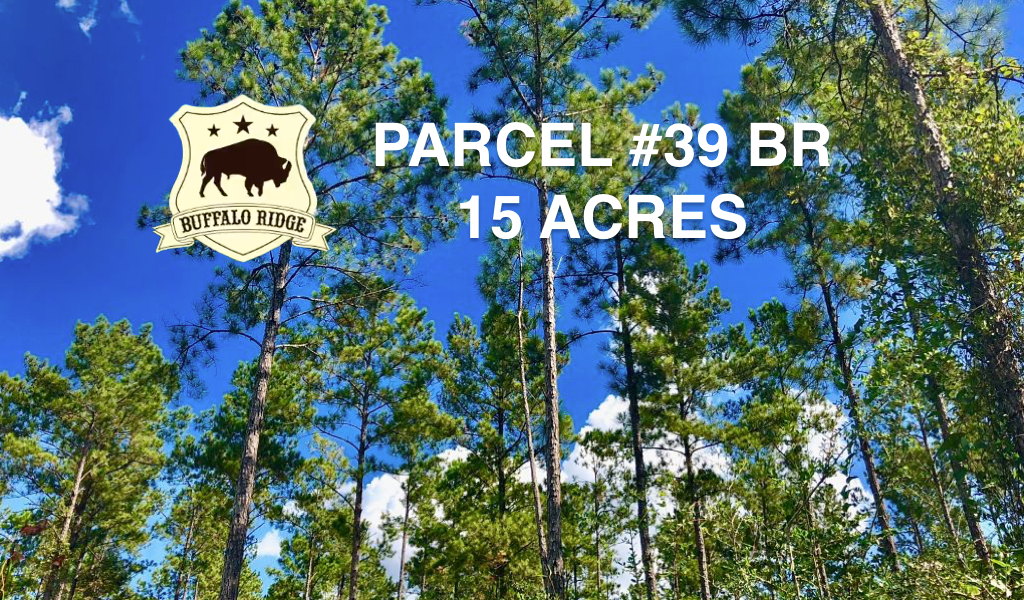 Featured Parcels Buffalo Ridge Pace FL