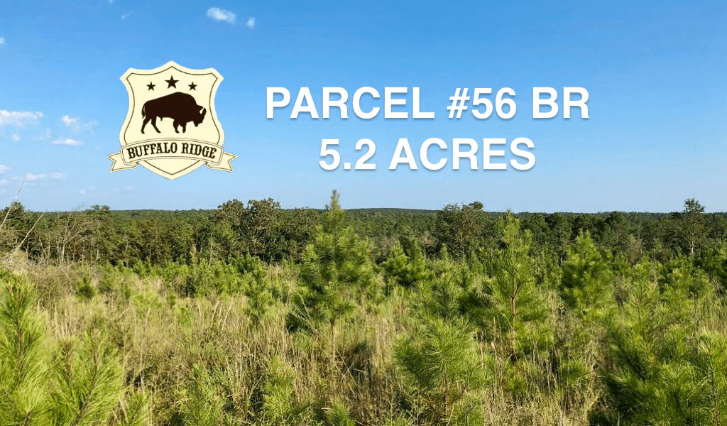 Lot 56 BR, Buffalo Ridge Rd 5.2 AC Buffalo Ridge Pace FL