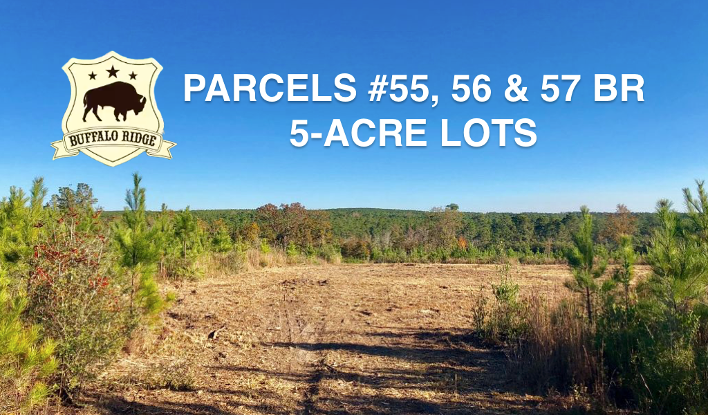 Featured Parcels Buffalo Ridge Pace FL