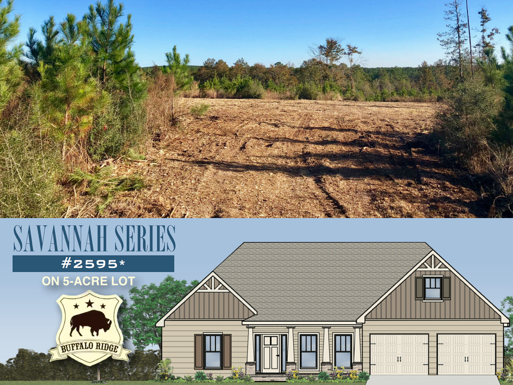 TO BE BUILT HOMES Buffalo Ridge Pace FL