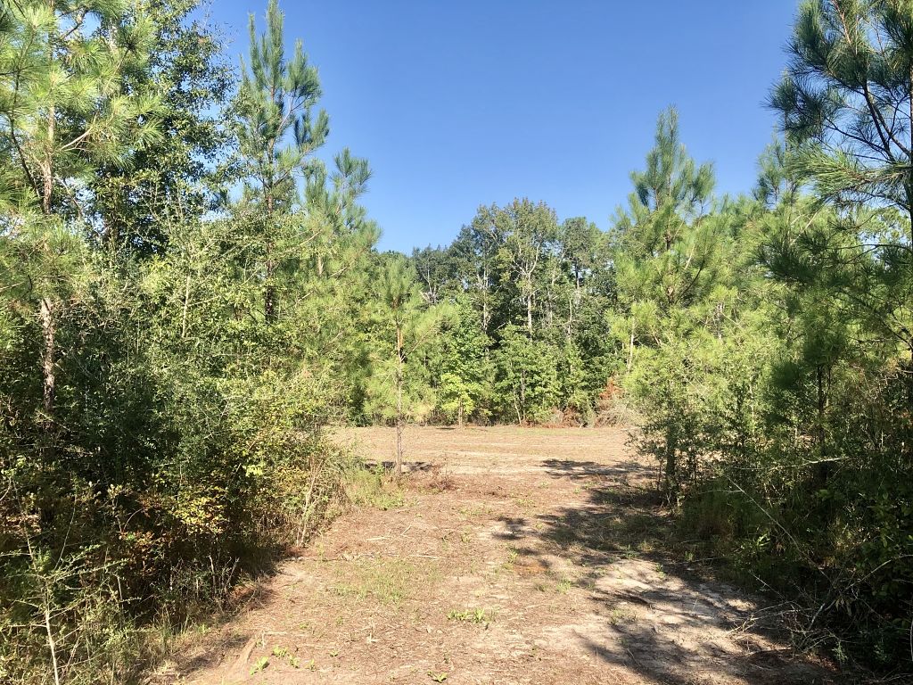 Image Gallery Buffalo Ridge Phase 5 Buffalo Ridge Pace FL