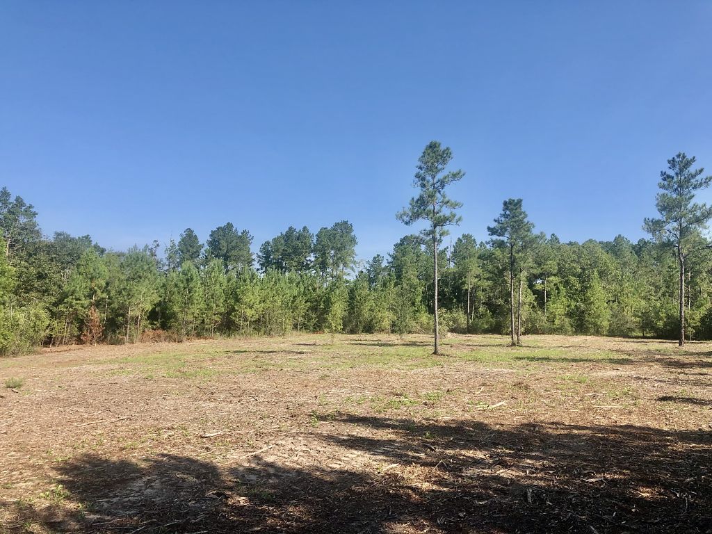 Image Gallery Buffalo Ridge Phase 5 Buffalo Ridge Pace FL