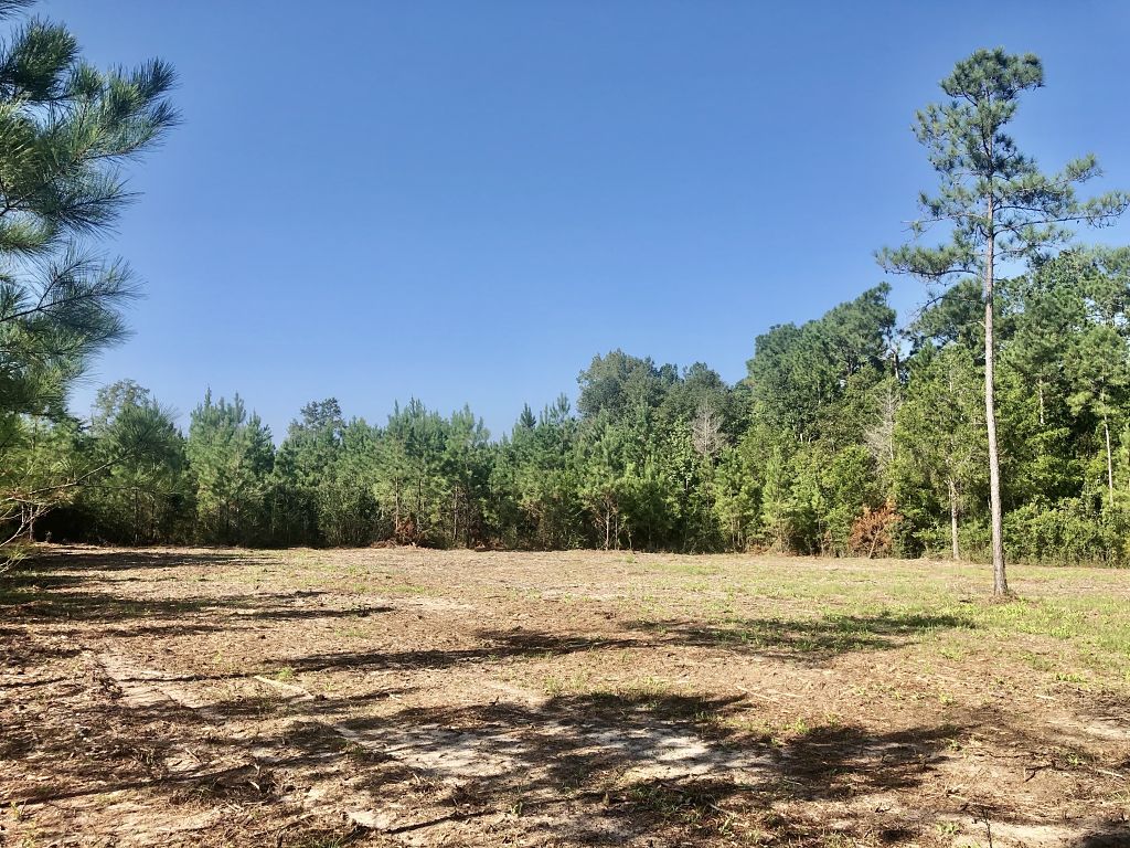 Image Gallery Buffalo Ridge Phase 5 Buffalo Ridge Pace FL