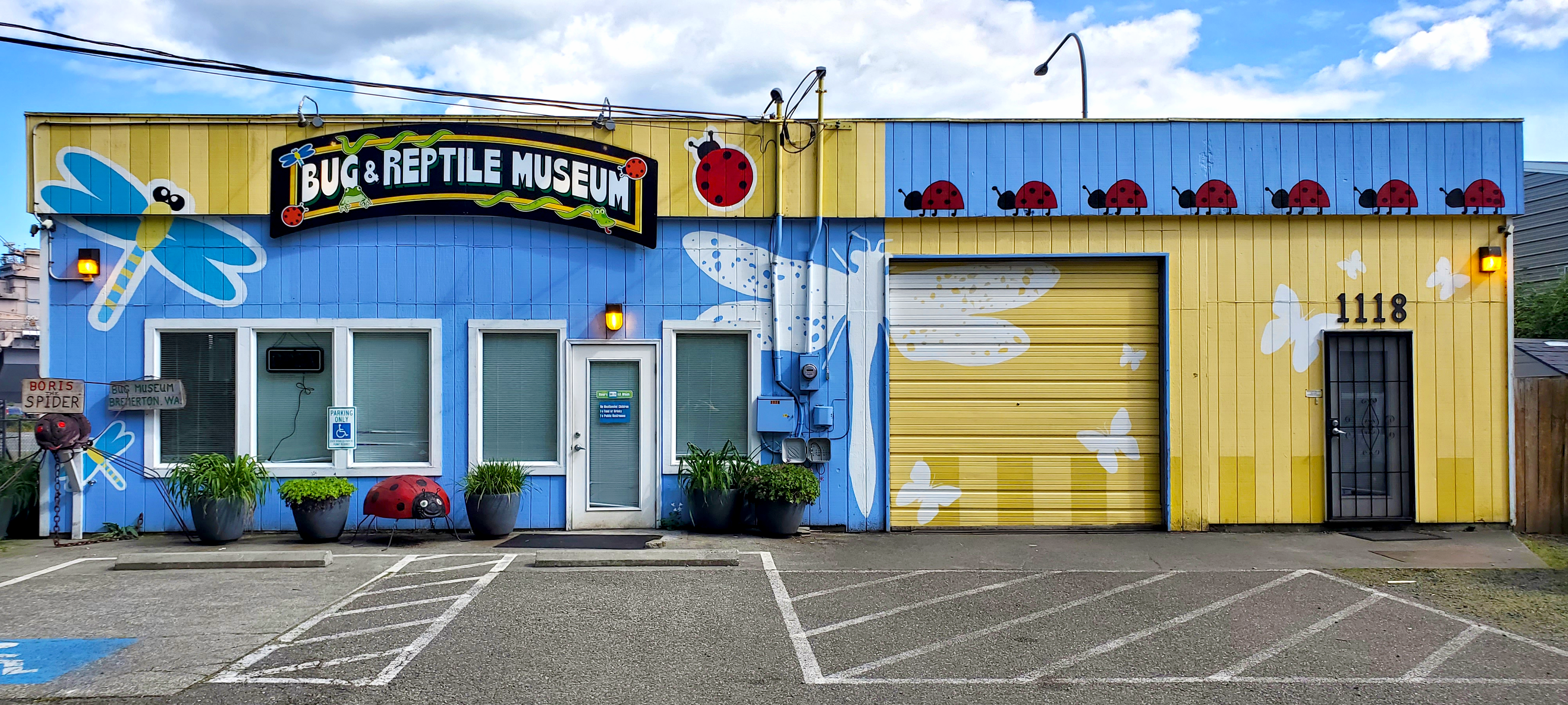 Bremerton Bug and Reptile Museum