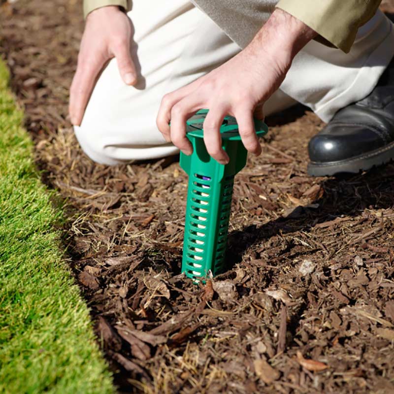 Termite Control Solutions Hulett Environmental Services