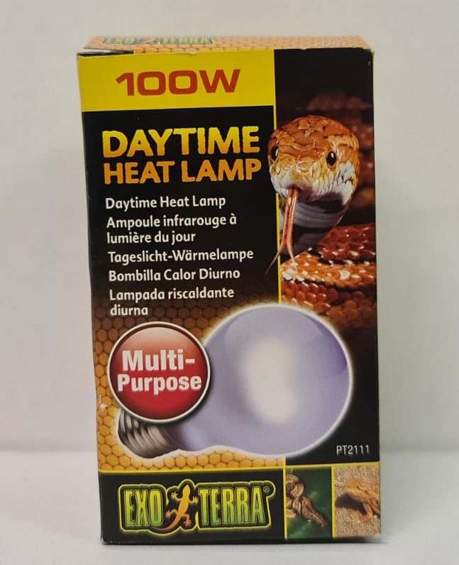 Exo terra daytime heat lamp Bugs Online