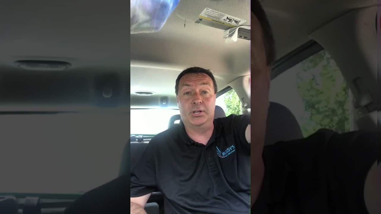 AugustSpecials Bugsys Pest Solutions