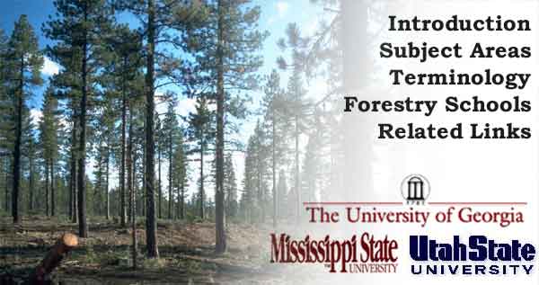 Silvicultural Practices Image Library