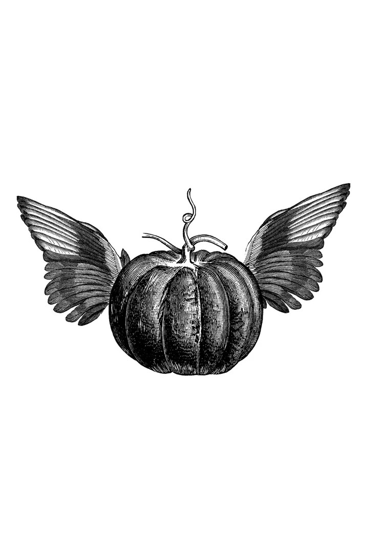 Russell’s Bakery & Coffee Bar — Build Graphic