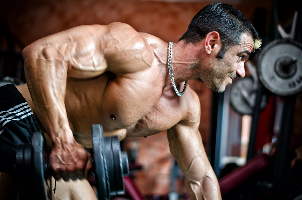 From Skinny to Muscular How Bodybuilding Works