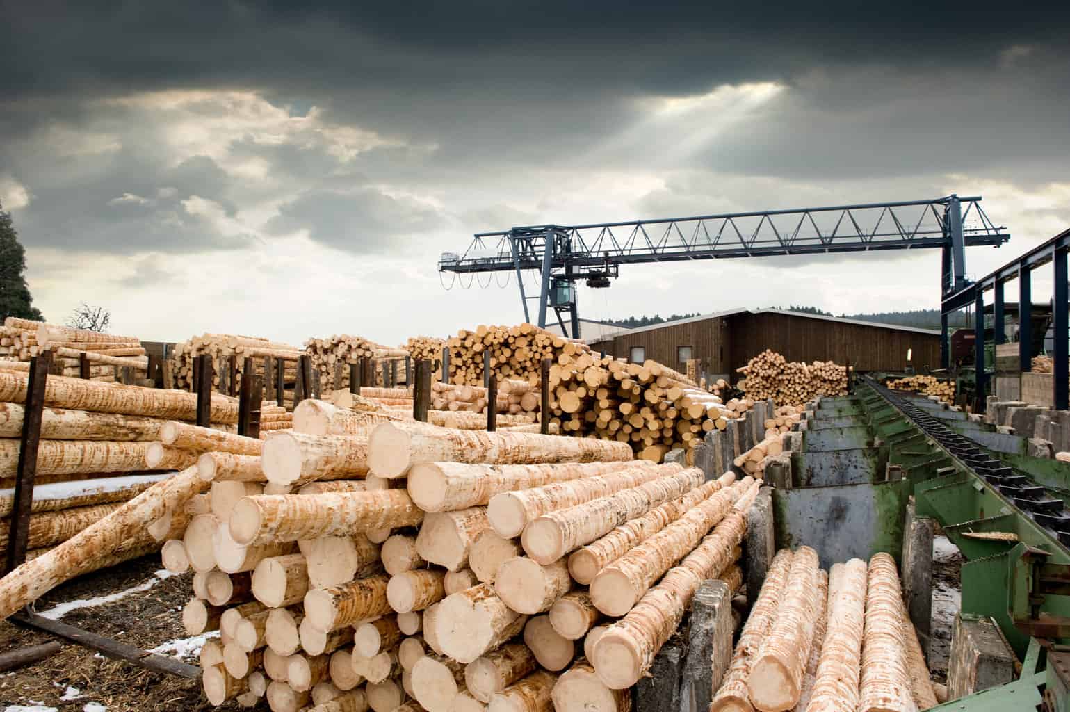 Is Wood a Sustainable Building Material? 7 Facts BuilderSpace