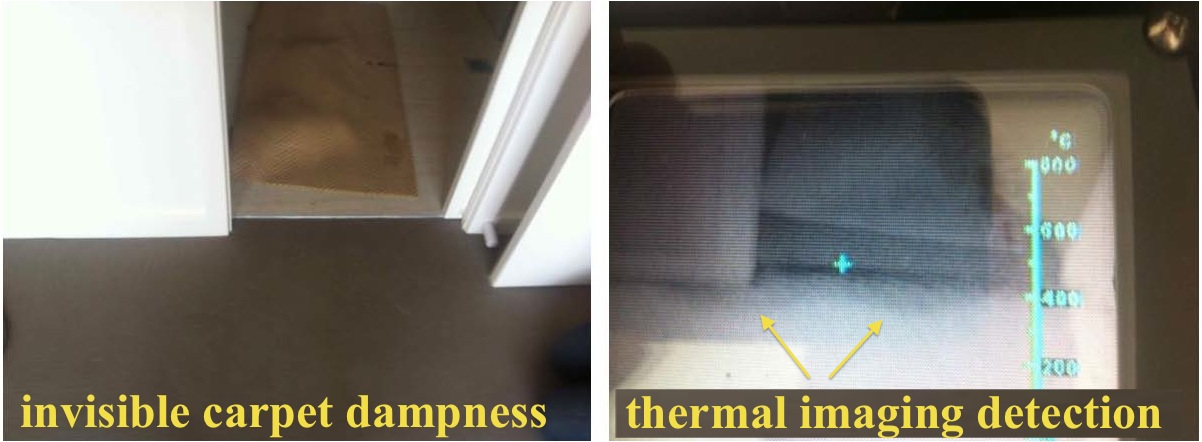 ROOF LEAKS,PLUMBING LEAKS, DETECTION WITH THERMAL IMAGING Building Expert