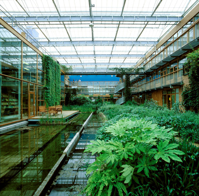 Bringing Nature Indoors The Myths and Realities of Plants in Buildings