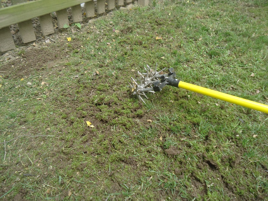 Tips for Watering the Lawn Planting and Watering Seed