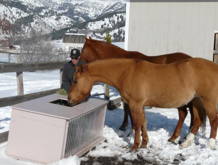 Solar Water Trough Heater Energy Saving Tips and Guide