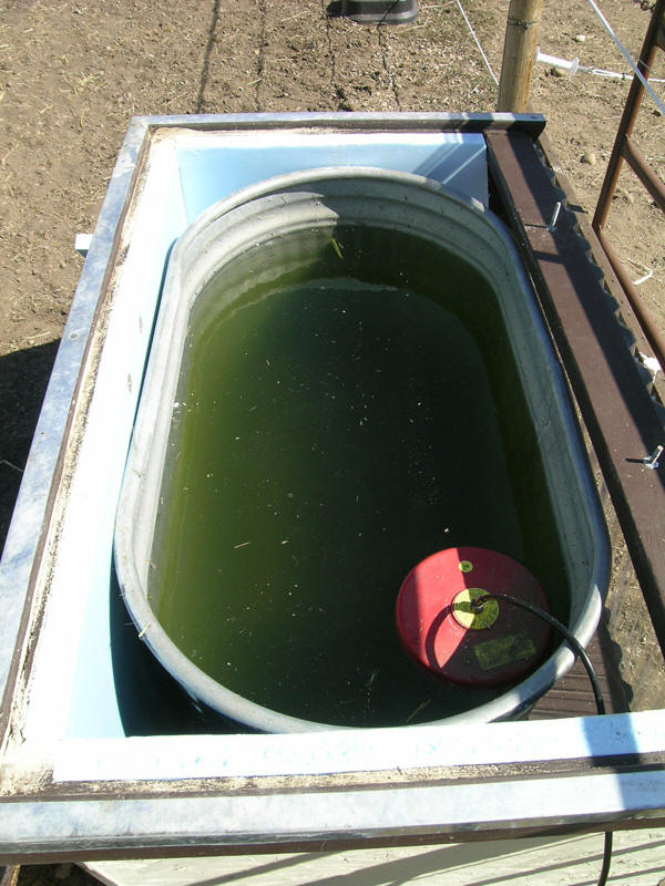 Insulated, Solar Horse Watering Tank
