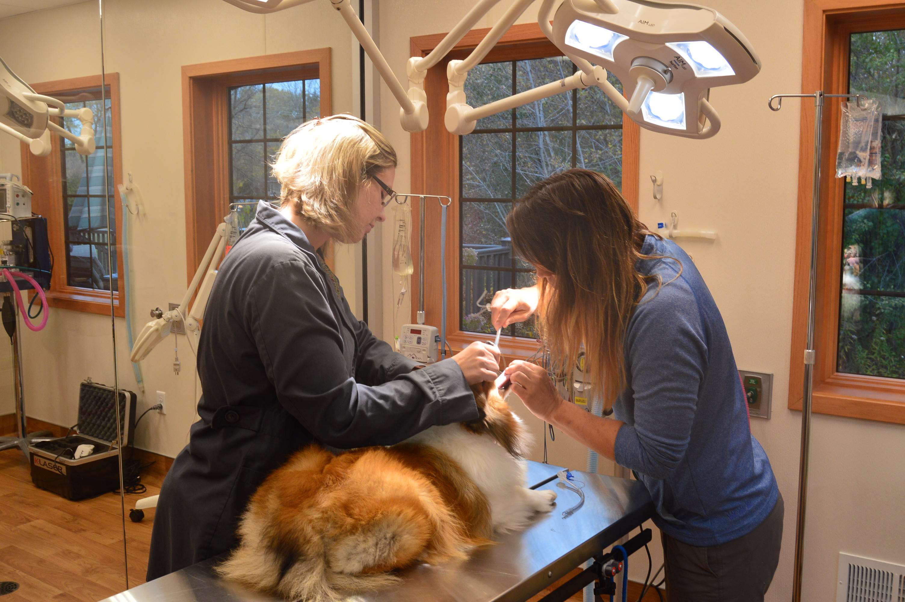 Regner Veterinary Clinic Bukacek Construction