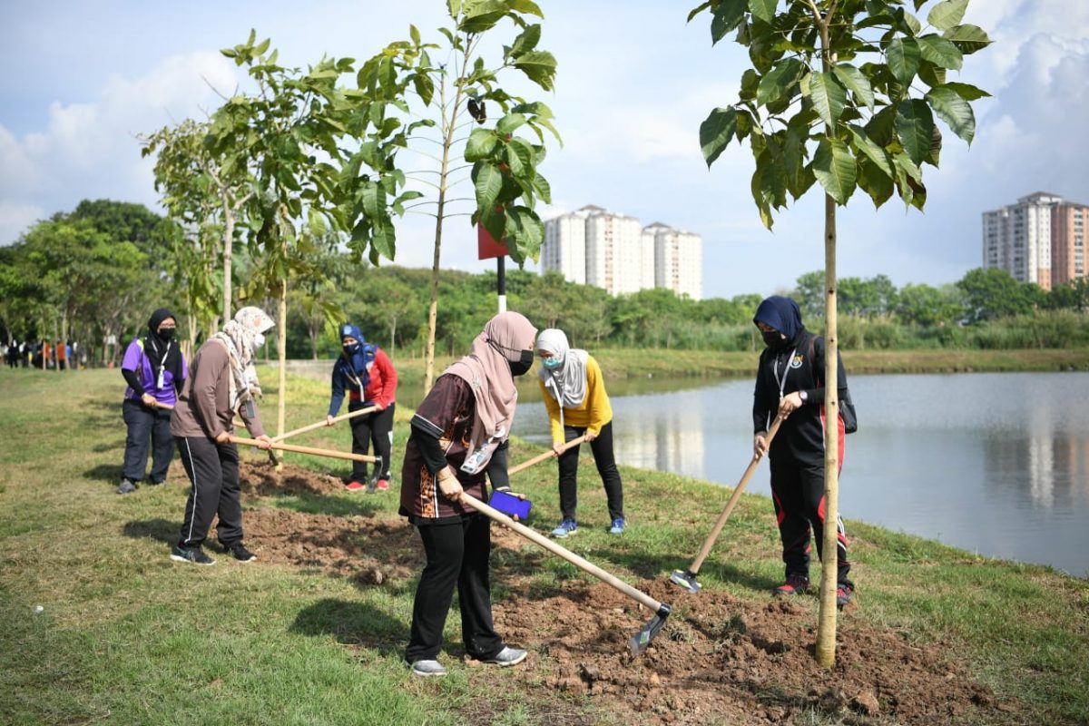Penang to plant 500,000 trees by 2030 Buletin Mutiara