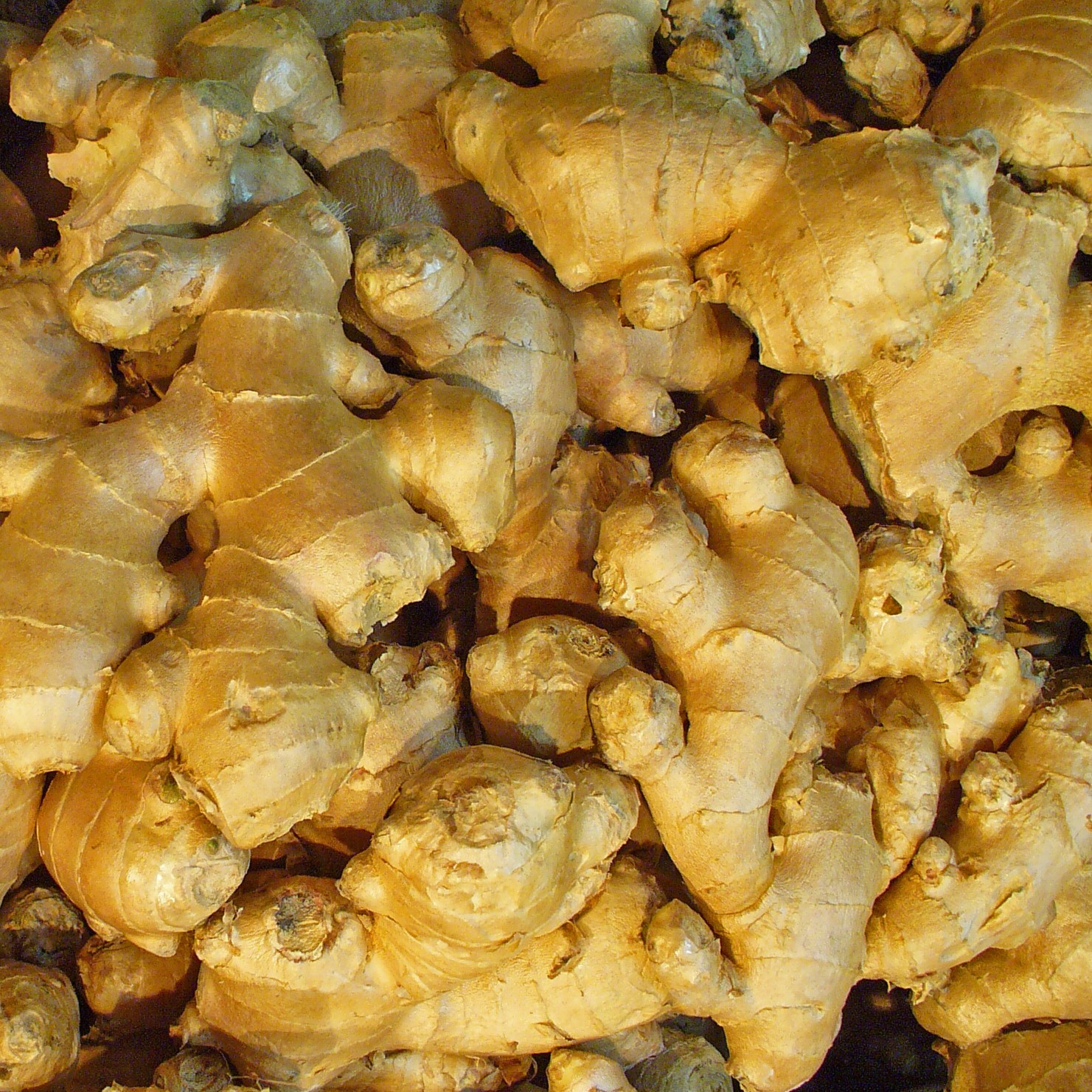 Bulk Ginger Root Powder