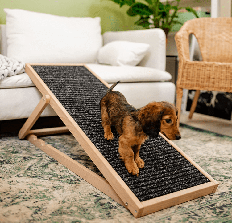 5 Best Dog Ramps The 2023 Ultimate Buying Guide