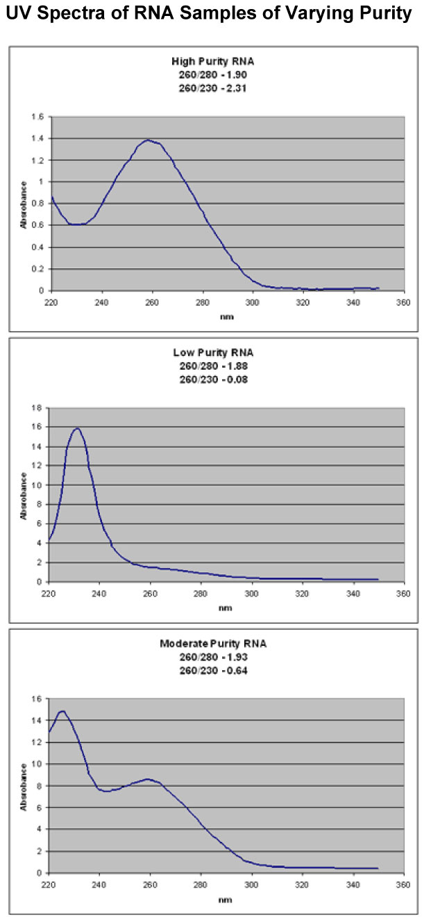 » Microarray and Sequencing Resource Boston University