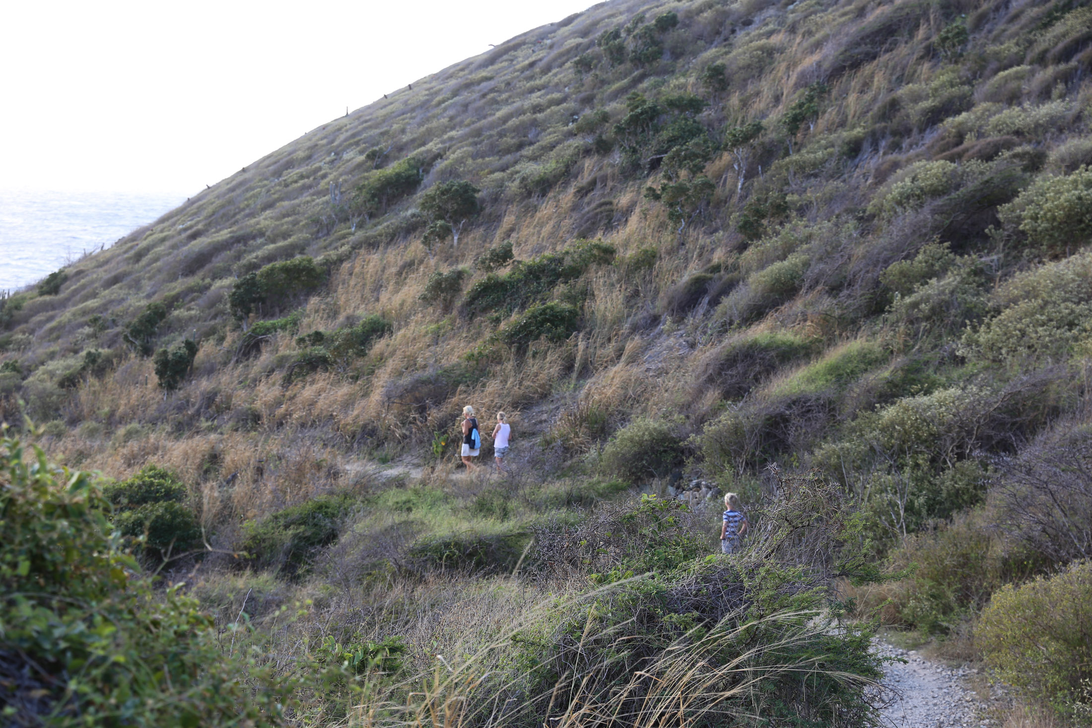 St. Croix Hikes Bumfuzzle