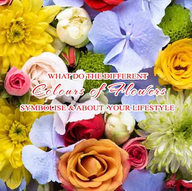 Online Gift Shop Gifts To France Gift Delivery In France