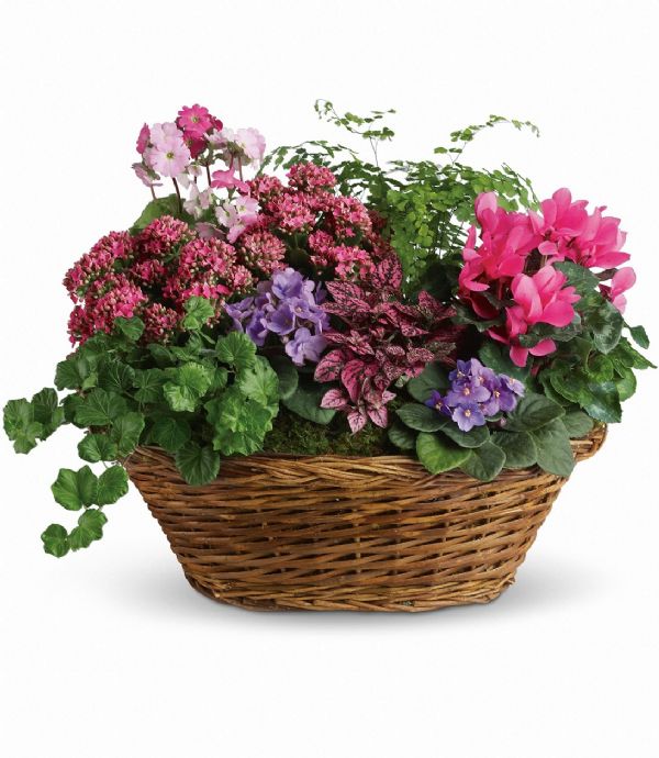 European Garden Basket (T971A) Bunches Flower Co.